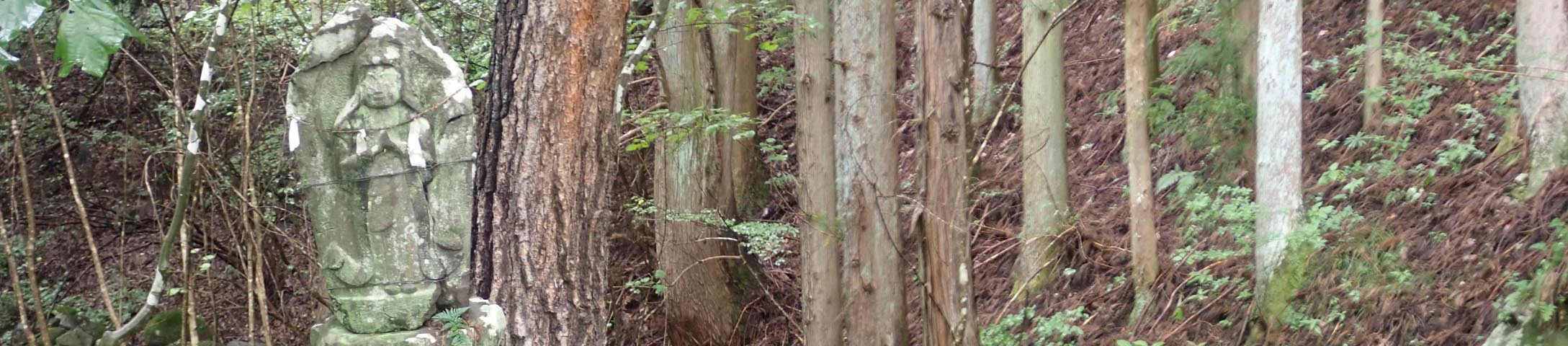 �΂̊ω����p�m���}8"