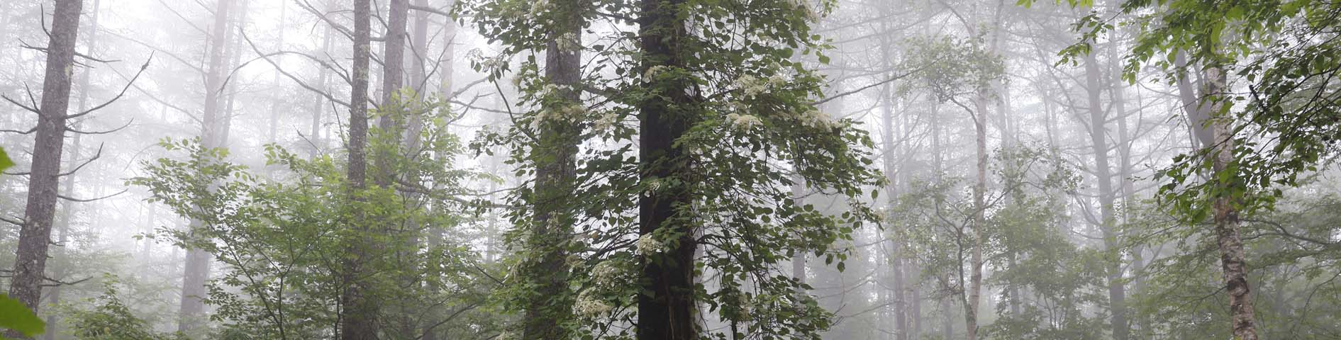 ��E�R�p�m���}"