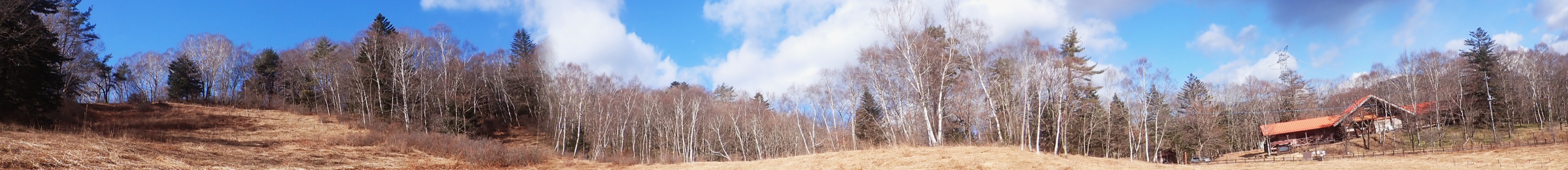 ���~�̉��������p�m���}"