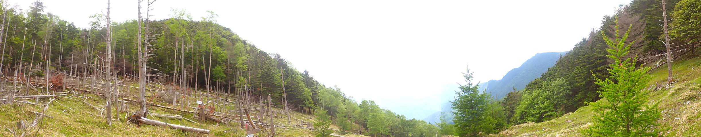 ����̃^������p�m���}�R"