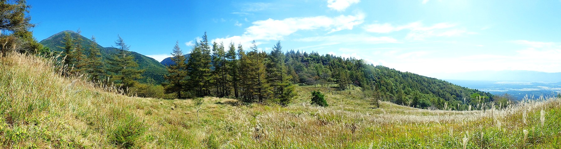 ���x�p�m���}�R"