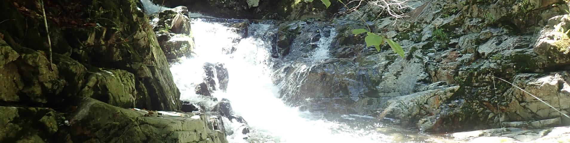 ���t�J�Q�p�m���}