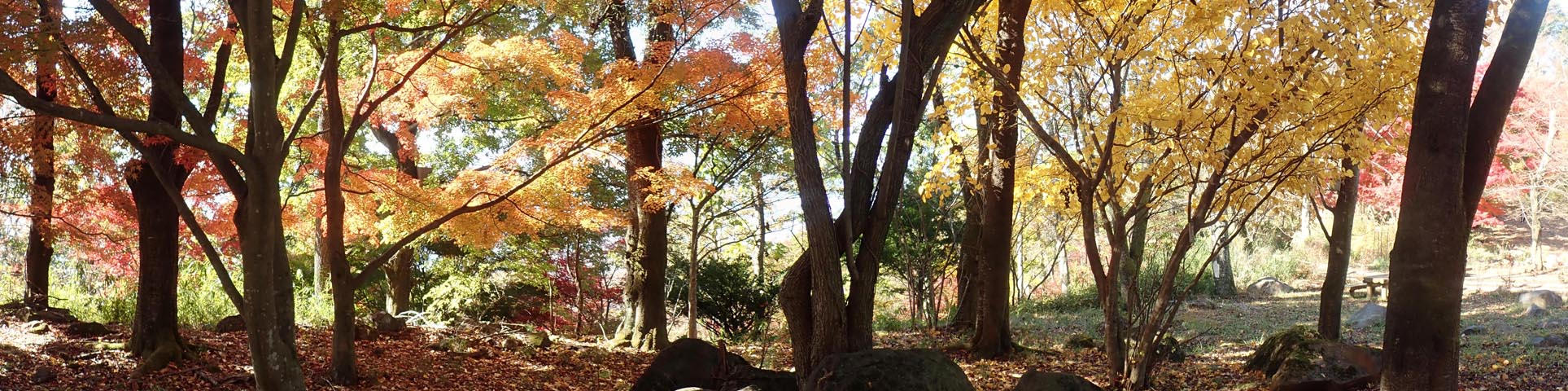 ���c�̓m�g�t�p�m���}"