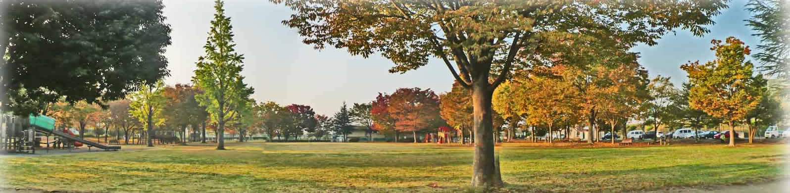 秋の公園１