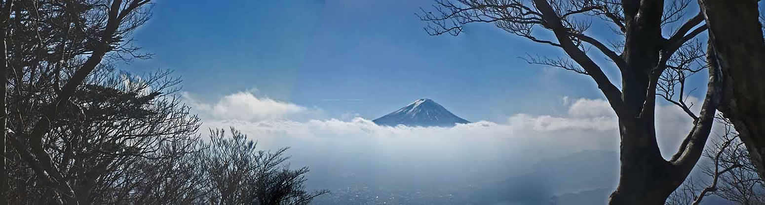 黒岳から見た富士山